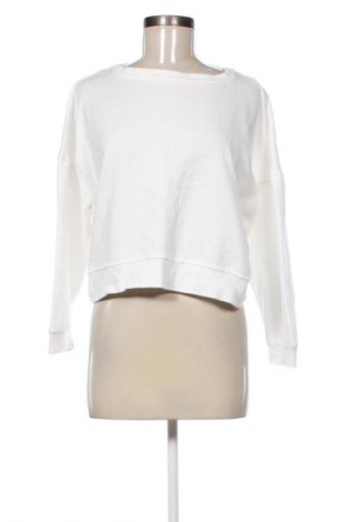 Damen Shirt Mango, Größe L, Farbe Weiß, Preis 31,71 €