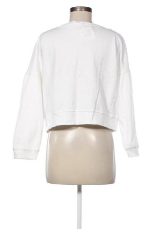 Damen Shirt Mango, Größe L, Farbe Weiß, Preis 31,71 €