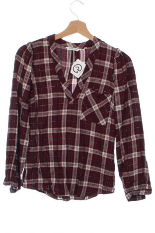 Damen Shirt Naf Naf, Größe XS, Farbe Mehrfarbig, Preis 18,08 €
