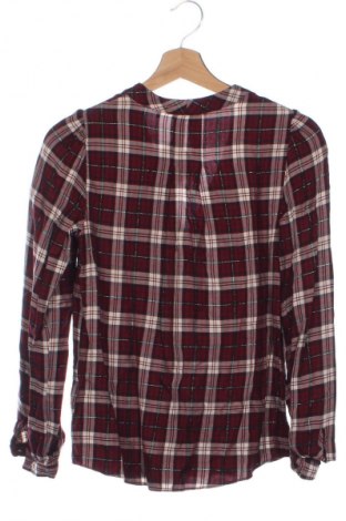 Damen Shirt Naf Naf, Größe XS, Farbe Mehrfarbig, Preis 18,08 €