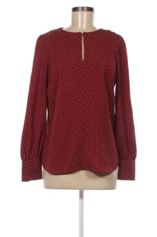 Damen Shirt Next, Größe M, Farbe Mehrfarbig, Preis 10,99 €