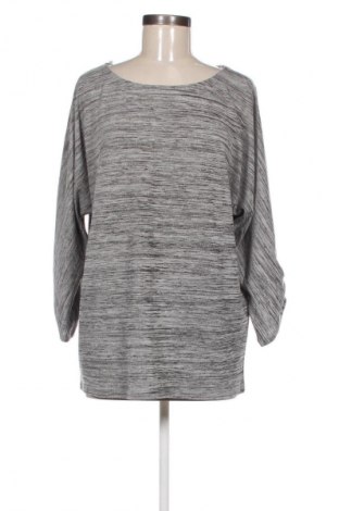 Damen Shirt Opus, Größe M, Farbe Mehrfarbig, Preis € 25,00