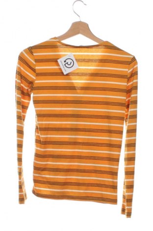 Damen Shirt Pimkie, Größe XS, Farbe Mehrfarbig, Preis 13,99 €