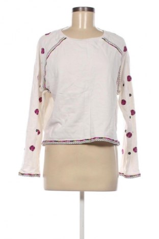 Damen Shirt Scotch & Soda, Größe L, Farbe Mehrfarbig, Preis 29,99 €