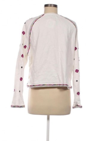 Damen Shirt Scotch & Soda, Größe L, Farbe Mehrfarbig, Preis 29,99 €