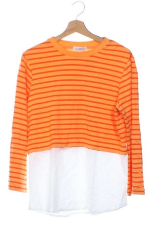 Damen Shirt Unbranded, Größe XS, Farbe Mehrfarbig, Preis 9,79 €