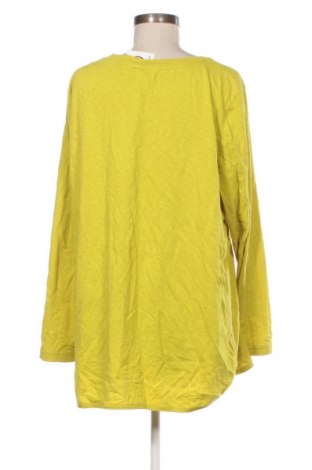 Damen Shirt White Stuff, Größe XXL, Farbe Grün, Preis 25,66 €