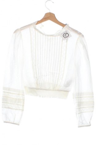 Damen Shirt Zara, Größe XS, Farbe Ecru, Preis 18,99 €