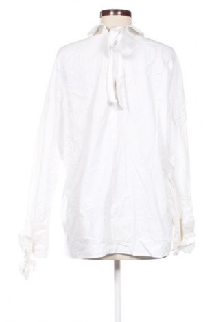 Damen Shirt Zara Trafaluc, Größe L, Farbe Weiß, Preis 18,99 €