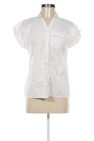 Damenbluse Blue Motion, Größe M, Farbe Weiß, Preis 8,99 €
