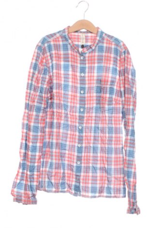Damenbluse Campus, Größe XS, Farbe Mehrfarbig, Preis € 17,99