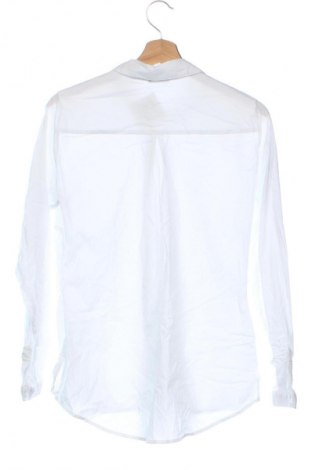 Damenbluse Kenny S., Größe XS, Farbe Weiß, Preis 28,99 €