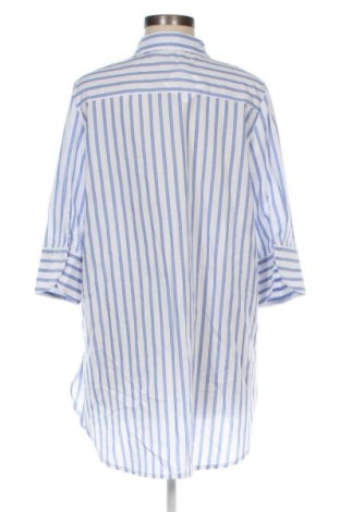 Damenbluse Laura Torelli, Größe L, Farbe Mehrfarbig, Preis 12,79 €