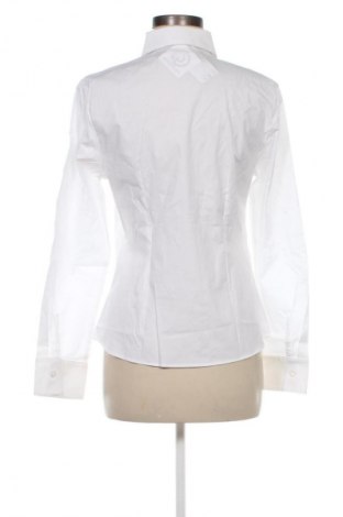 Damenbluse Mango, Größe M, Farbe Weiß, Preis 42,99 €