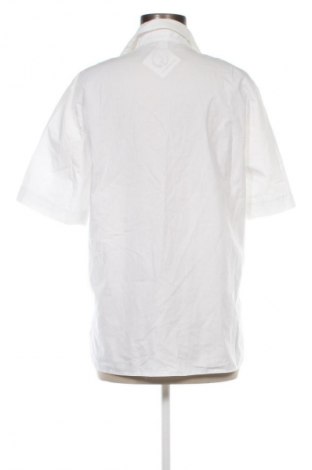 Damenbluse Peter Hahn, Größe M, Farbe Weiß, Preis 24,48 €