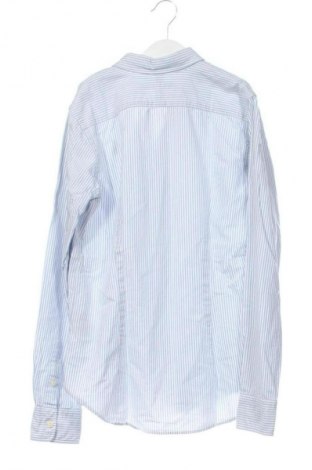 Damska koszula Ralph Lauren, Rozmiar XS, Kolor Kolorowy, Cena 246,34 zł