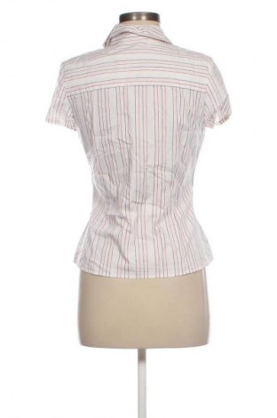Damenbluse Tom Tailor, Größe S, Farbe Mehrfarbig, Preis 23,99 €