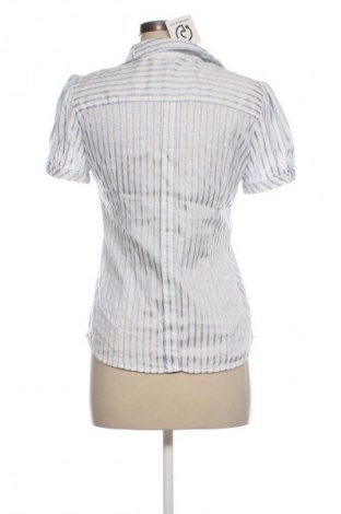 Damenbluse Zara, Größe XL, Farbe Mehrfarbig, Preis 18,99 €