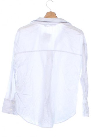 Damenbluse Zara, Größe XS, Farbe Weiß, Preis 18,99 €