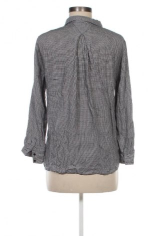 Damenbluse Zara Trafaluc, Größe S, Farbe Mehrfarbig, Preis 13,80 €
