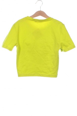 Damen T-Shirt Zara, Größe XS, Farbe Grün, Preis € 7,99