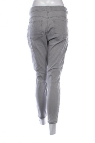 Damen Jeans Denim Co., Größe XL, Farbe Grau, Preis 20,99 €