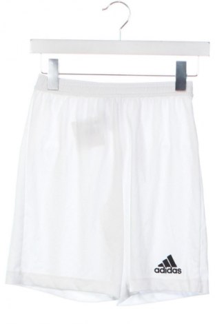 Pantaloni scurți de femei Adidas, Mărime XS, Culoare Alb, Preț 115,99 Lei