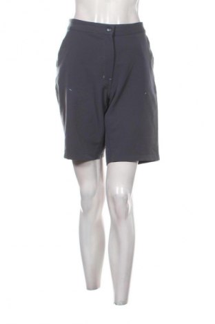 Damen Shorts Crane, Größe XL, Farbe Grau, Preis 13,99 €