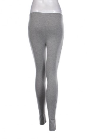 Damskie legginsy Sinsay, Rozmiar S, Kolor Szary, Cena 45,43 zł