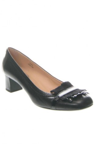 Dámske topánky  Tod's, Veľkosť 37, Farba Čierna, Cena  104,86 €
