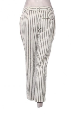 Damenhose Primark, Größe M, Farbe Mehrfarbig, Preis 13,99 €