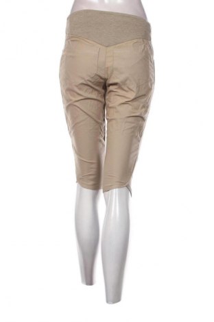 Damenhose Quechua, Größe S, Farbe Beige, Preis 26,99 €