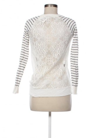 Damski sweter Pink Rose, Rozmiar S, Kolor Kolorowy, Cena 37,99 zł