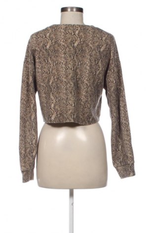 Damenpullover Zara Trafaluc, Größe S, Farbe Mehrfarbig, Preis 13,80 €