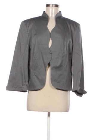 Damen Blazer Bpc Bonprix Collection, Größe XXL, Farbe Grau, Preis 25,66 €