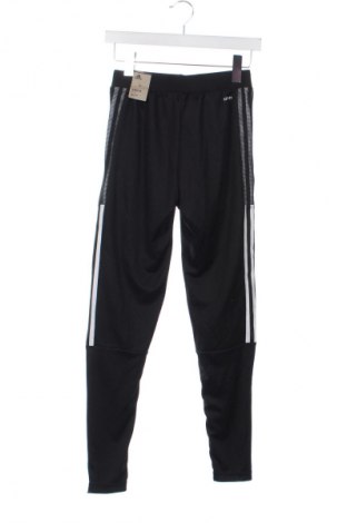 Damen Sporthose Adidas, Größe XS, Farbe Schwarz, Preis 64,99 €