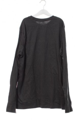 Detská blúzka  C&A, Veľkosť 15-18y/ 170-176 cm, Farba Sivá, Cena  6,95 €