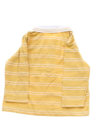 Dziecięca bluzka Coccodrillo, Rozmiar 3-6m/ 62-68 cm, Kolor Kolorowy, Cena 25,00 zł