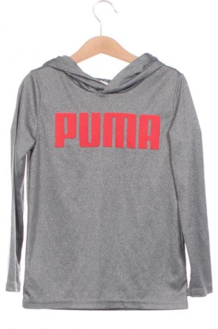 Детска блуза PUMA, Размер 5-6y/ 116-122 см, Цвят Сив, Цена 26,69 лв.