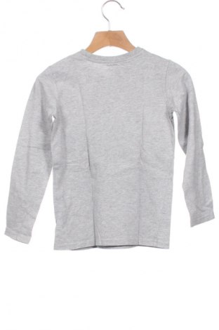 Bluză pentru copii Prenatal, Mărime 5-6y/ 116-122 cm, Culoare Gri, Preț 30,87 Lei