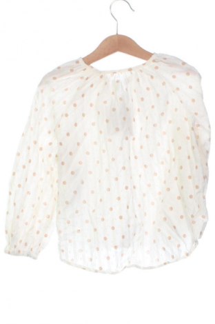 Bluză pentru copii Zara, Mărime 3-4y/ 104-110 cm, Culoare Multicolor, Preț 36,63 Lei