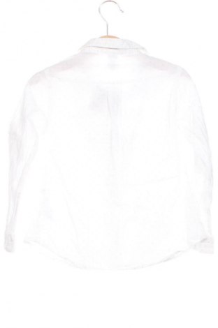 Детска блуза Zara, Размер 2-3y/ 98-104 см, Цвят Бял, Цена 13,92 лв.