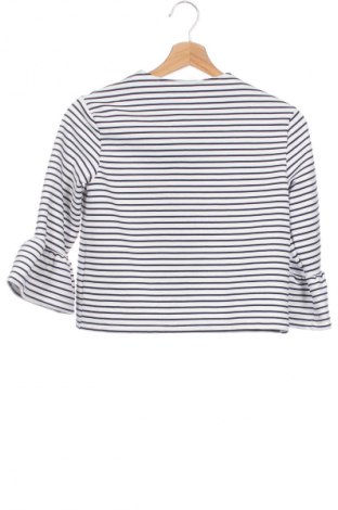 Pulover cu nasturi pentru copii Original Marines, Mărime 11-12y/ 152-158 cm, Culoare Multicolor, Preț 65,25 Lei