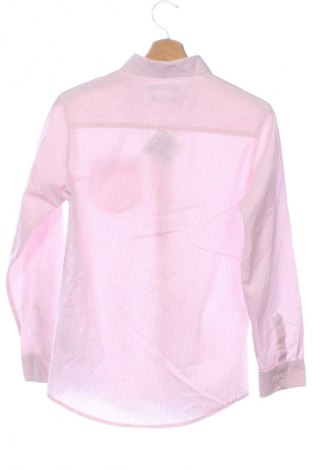 Detská košeľa  Izod, Veľkosť 14-15y/ 168-170 cm, Farba Viacfarebná, Cena  13,95 €