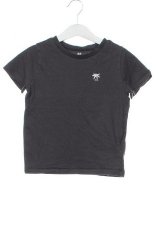 Dziecięcy T-shirt H&M, Rozmiar 4-5y/ 110-116 cm, Kolor Szary, Cena 27,59 zł