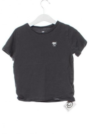 Dziecięcy T-shirt H&M, Rozmiar 4-5y/ 110-116 cm, Kolor Szary, Cena 27,59 zł