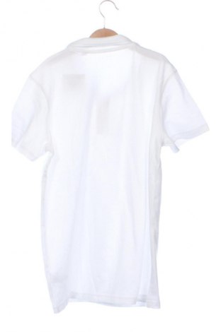 Tricou pentru copii Next, Mărime 12-13y/ 158-164 cm, Culoare Alb, Preț 50,99 Lei