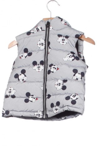Vestă pentru copii Disney, Mărime 18-24m/ 86-98 cm, Culoare Multicolor, Preț 58,00 Lei