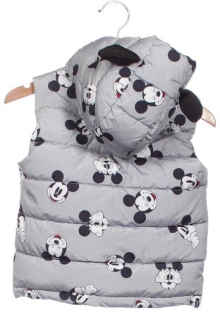 Vestă pentru copii Disney, Mărime 18-24m/ 86-98 cm, Culoare Multicolor, Preț 58,00 Lei