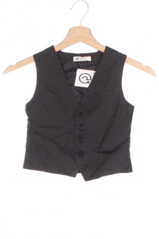 Detská vesta  H&M, Veľkosť 4-5y/ 110-116 cm, Farba Viacfarebná, Cena  12,95 €